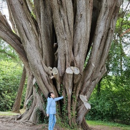 irland rundreise 2025_38